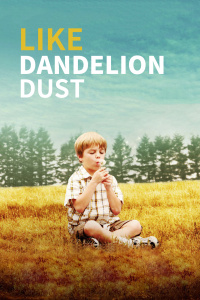 像蒲公英的灰尘 像蒲公英的灰尘