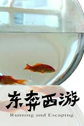 11度青春之《东奔西游》 11度青春之《东奔西游》