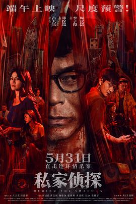 私家侦探 私家侦探
