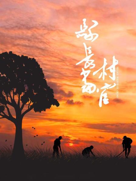 县长当村官 县长当村官