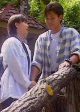 最后一个乘客 最后一个乘客