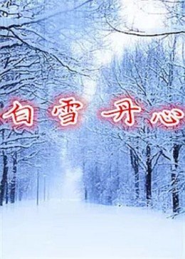 白雪丹心 白雪丹心