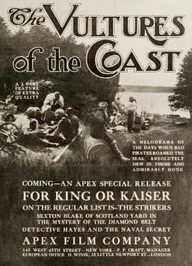 海上秃鹰 海上秃鹰