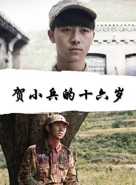 贺小兵的十六岁 贺小兵的十六岁