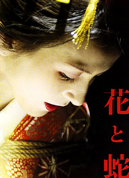 花与蛇2004 花与蛇2004