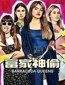 富家神偷第二季