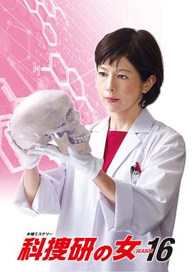 科搜研之女第16季 科搜研之女第16季